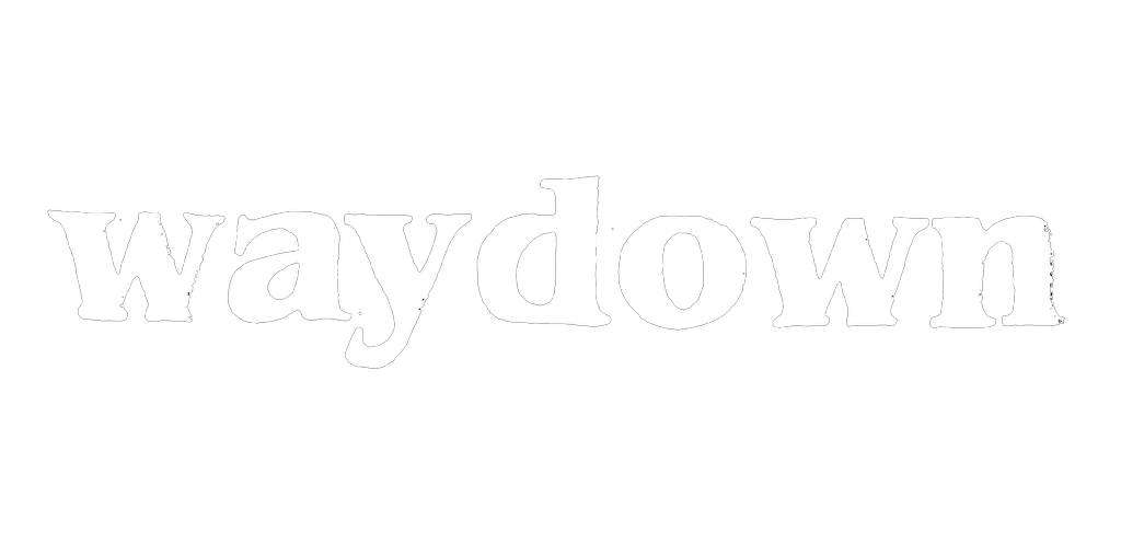 waydown logo