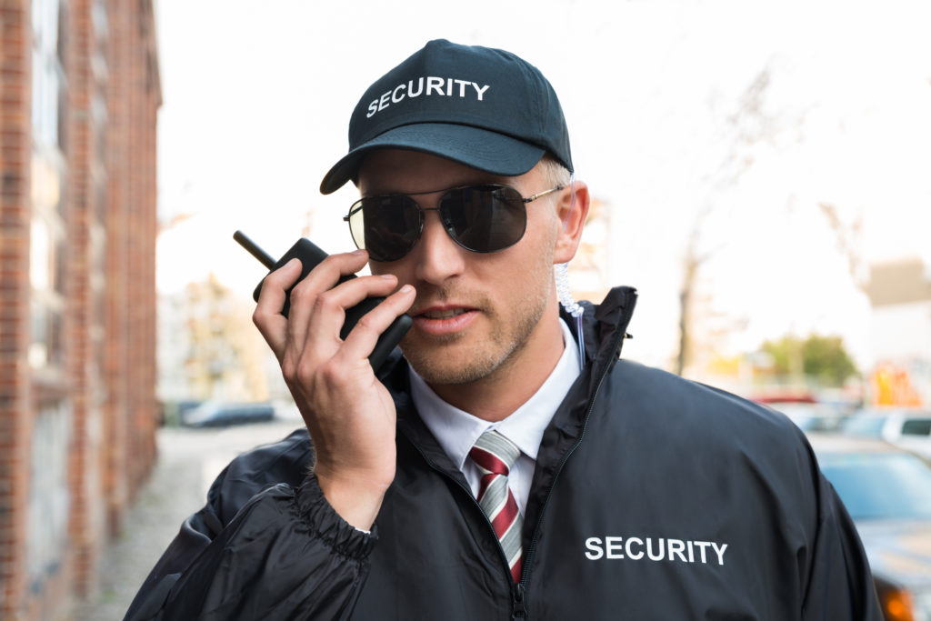professional private security