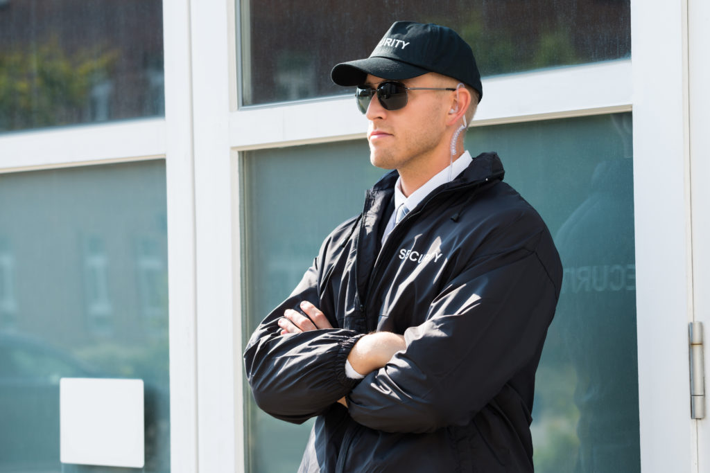 professional event security